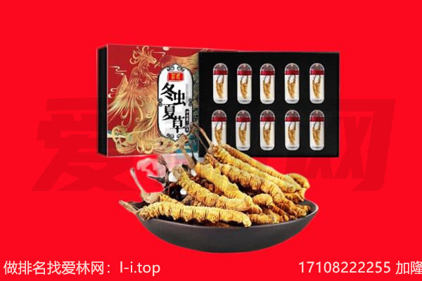 芜湖回收虫草.jpg